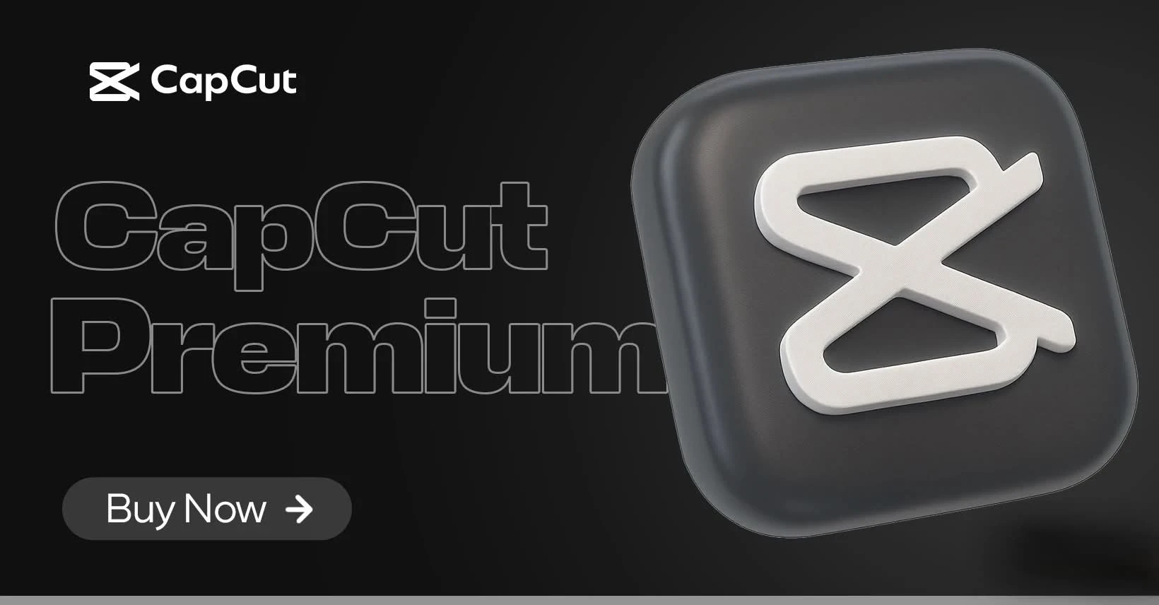CapCut Premium
